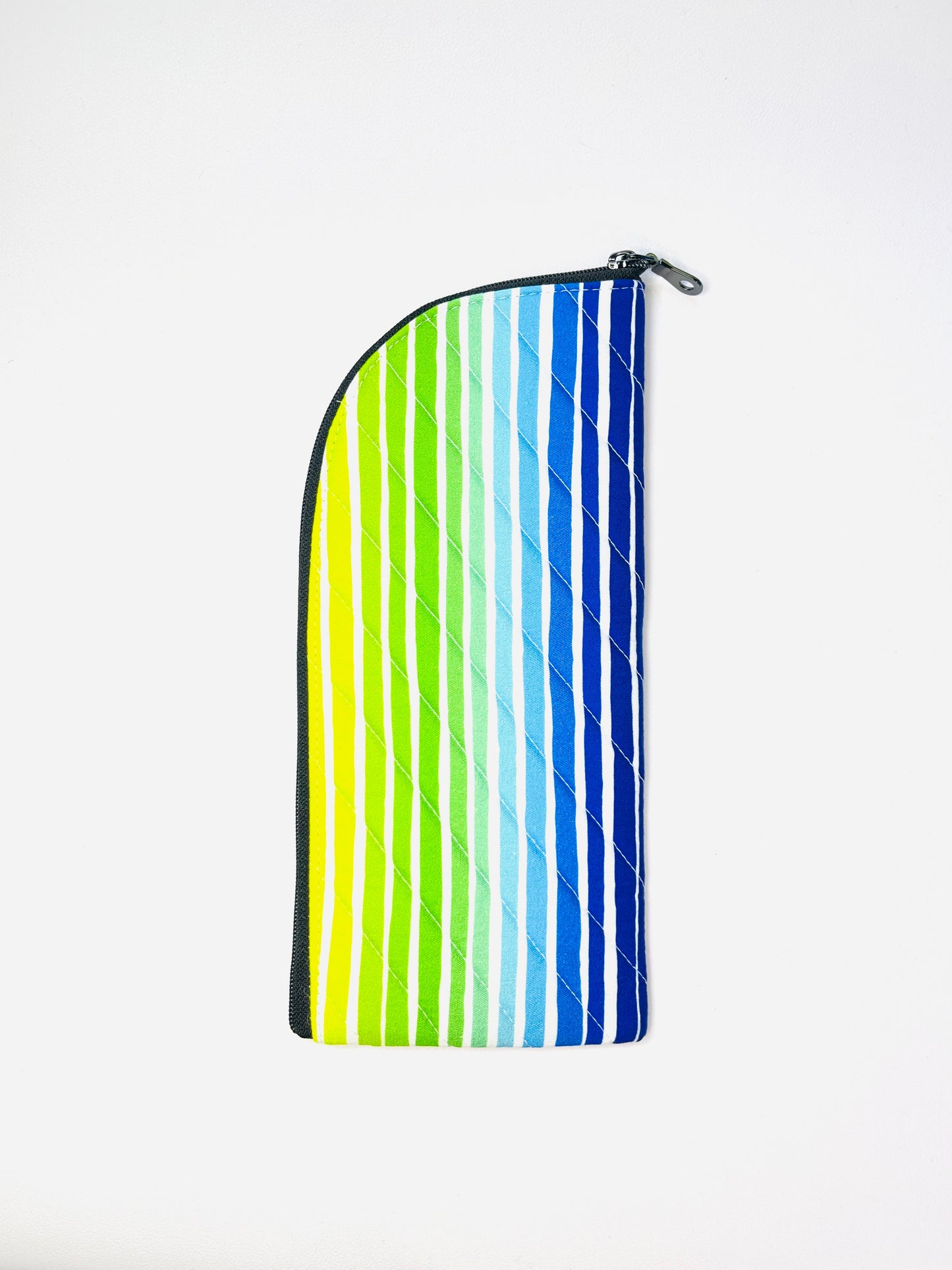 Rainbow Raccoon Case