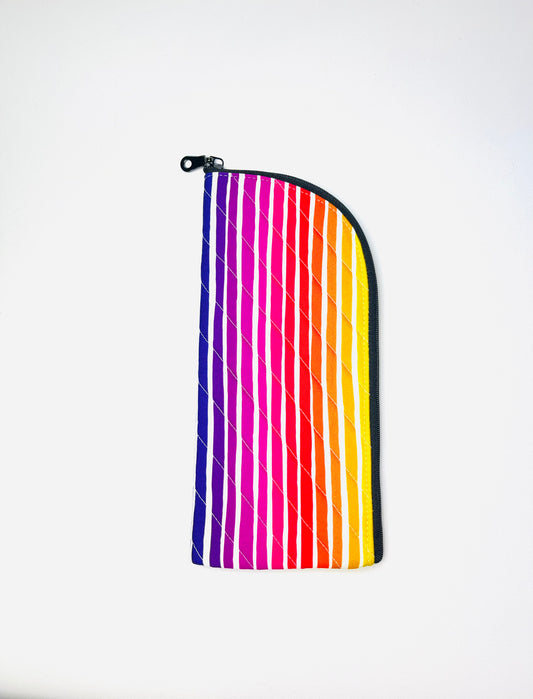 Rainbow Raccoon Case
